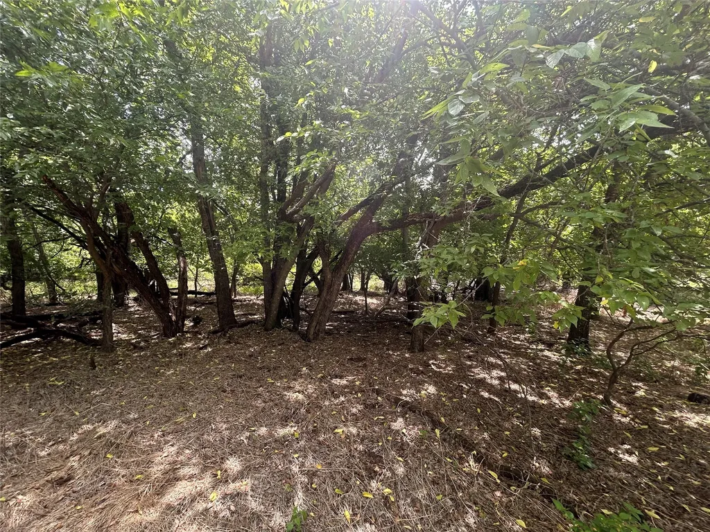 5506 Mercedes Circle Granbury TX 76048