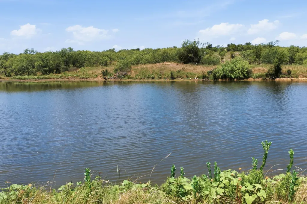 196 Story Road Perrin TX 76486