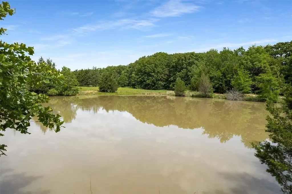 6111 County Road 2610. Bonham TX 75418