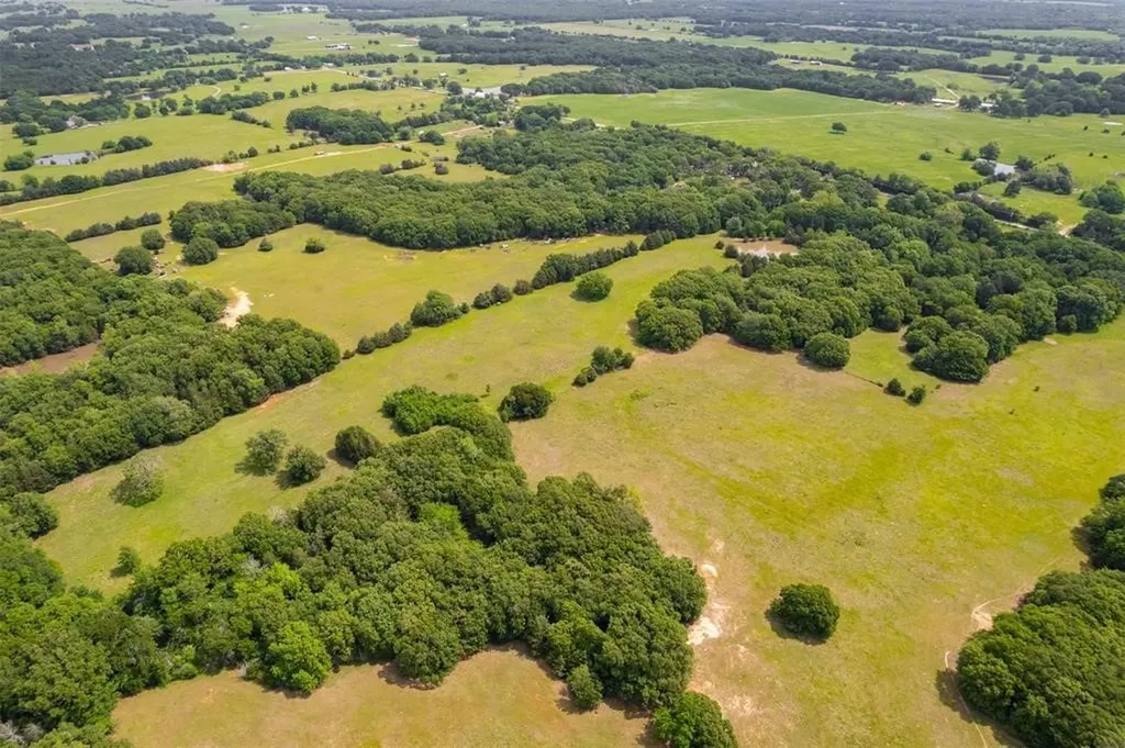 6111 County Road 2610. Bonham TX 75418