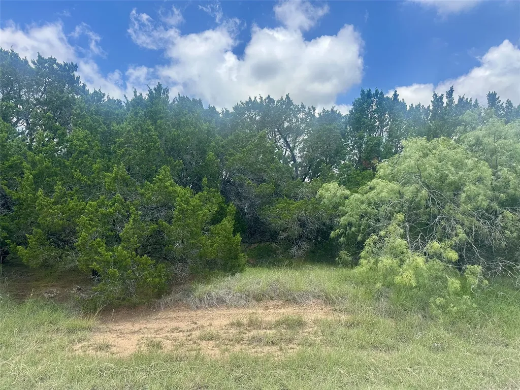 25058 Forrest Drive Whitney TX 76692