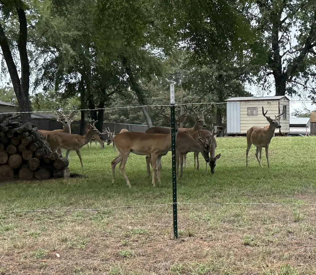 18251 Rocky Point Run Mabank TX 75156