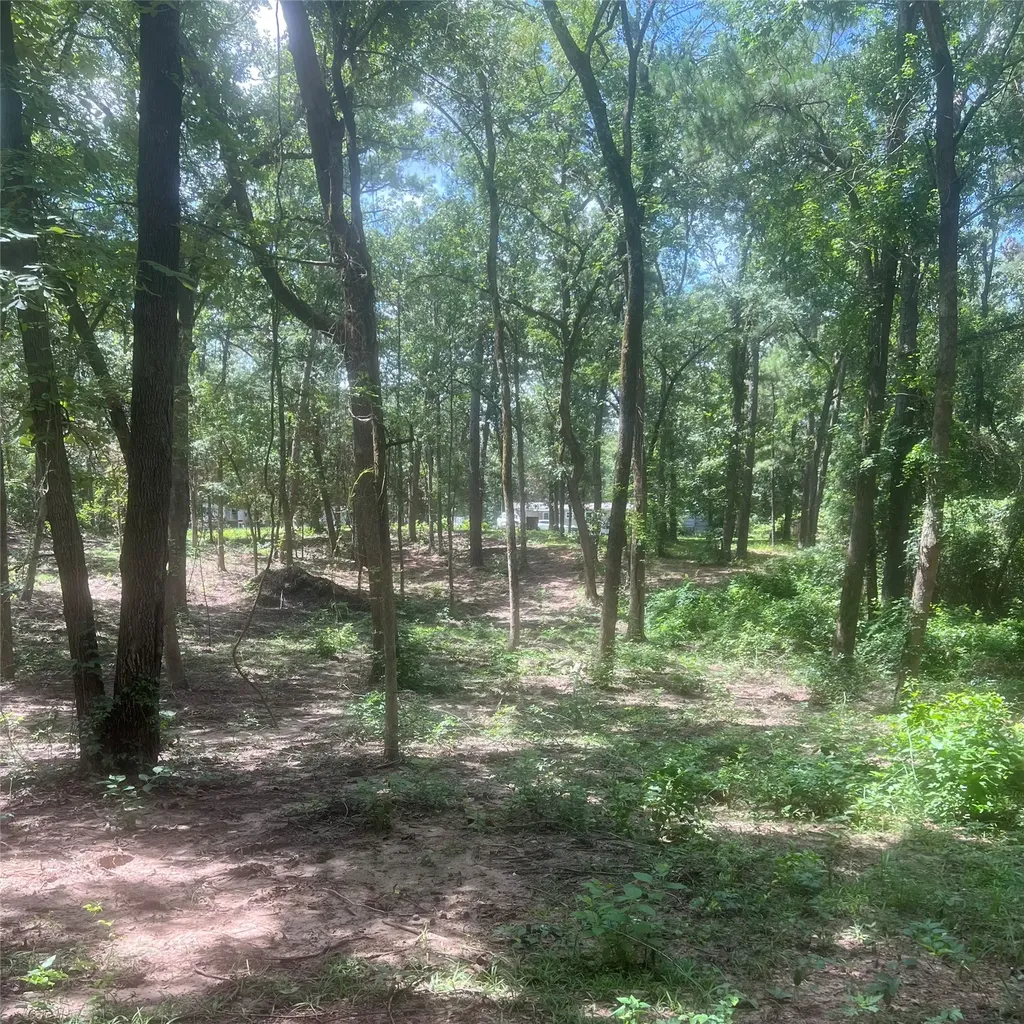 Tbd Azalea Lane Mount Vernon TX 75457