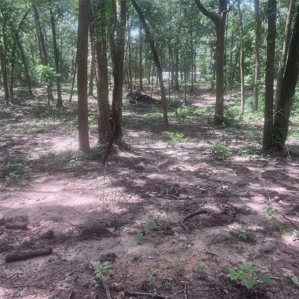 Tbd Azalea Lane Mount Vernon TX 75457