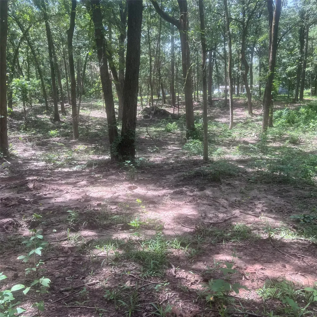 Tbd Azalea Lane Mount Vernon TX 75457