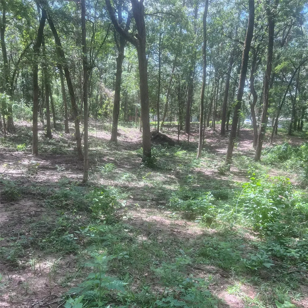 Tbd Azalea Lane Mount Vernon TX 75457