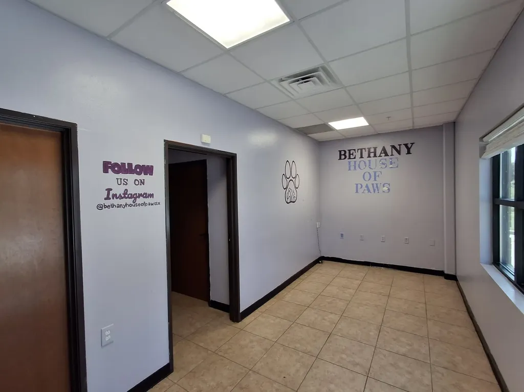 1113 E Bethany Drive Allen TX 75002