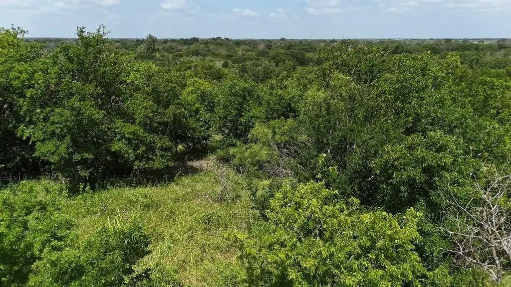 0 (off) Hcr 3255 Mount Calm TX 76673