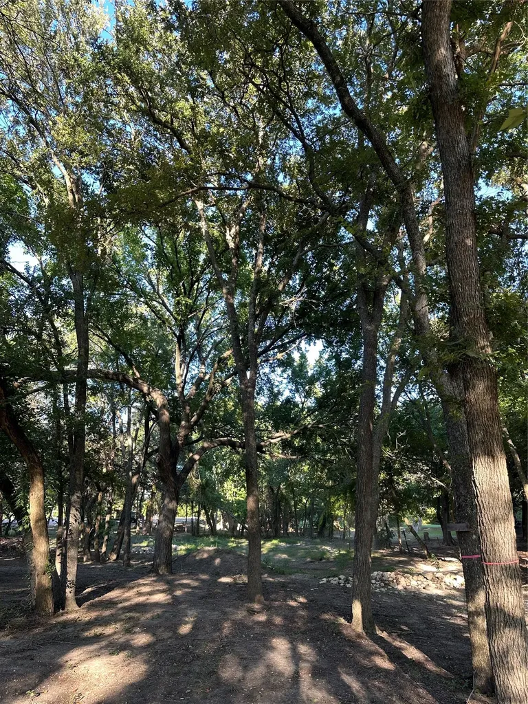1204 Smirl Heath TX 75032