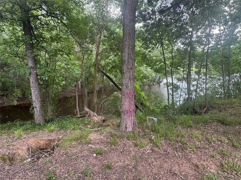 260 Lakeshore Drive Fairfield TX 75840