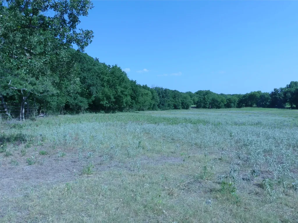 1691 W Alamo Road Bowie TX 76230