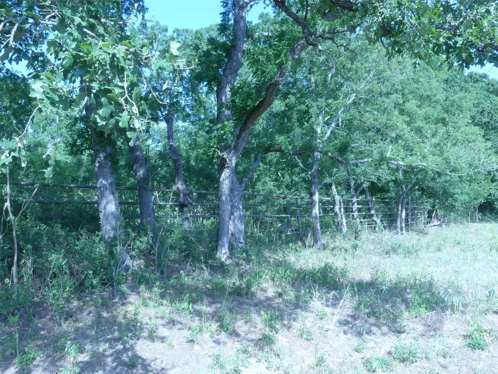 1691 W Alamo Road Bowie TX 76230