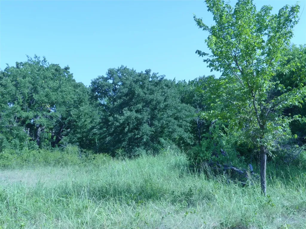 1691 W Alamo Road Bowie TX 76230
