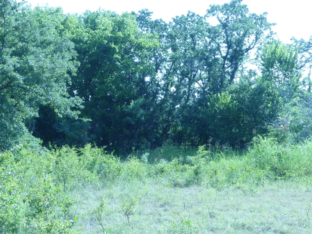 1691 W Alamo Road Bowie TX 76230