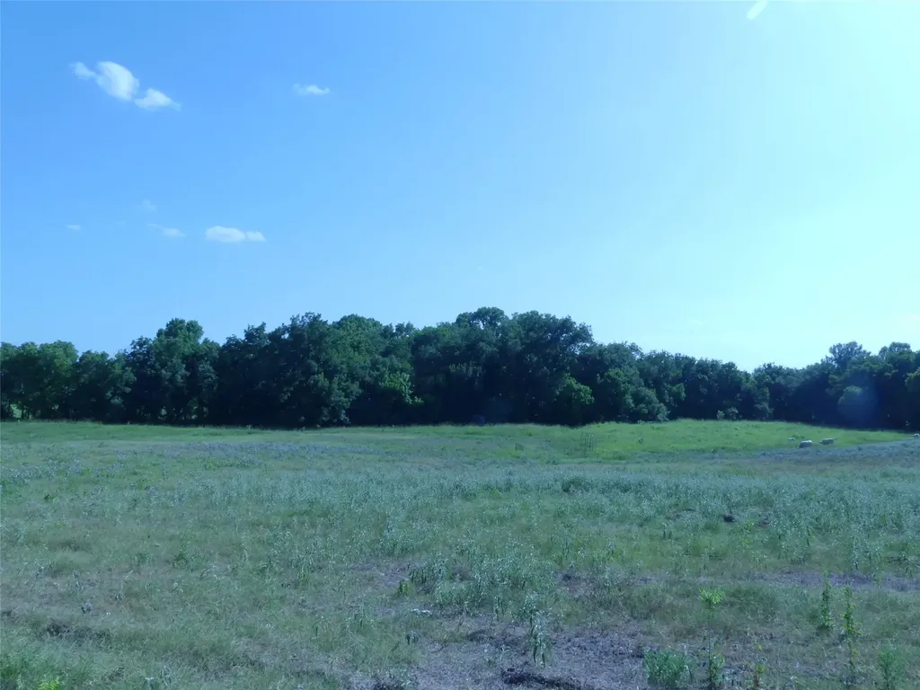 1691 W Alamo Road Bowie TX 76230