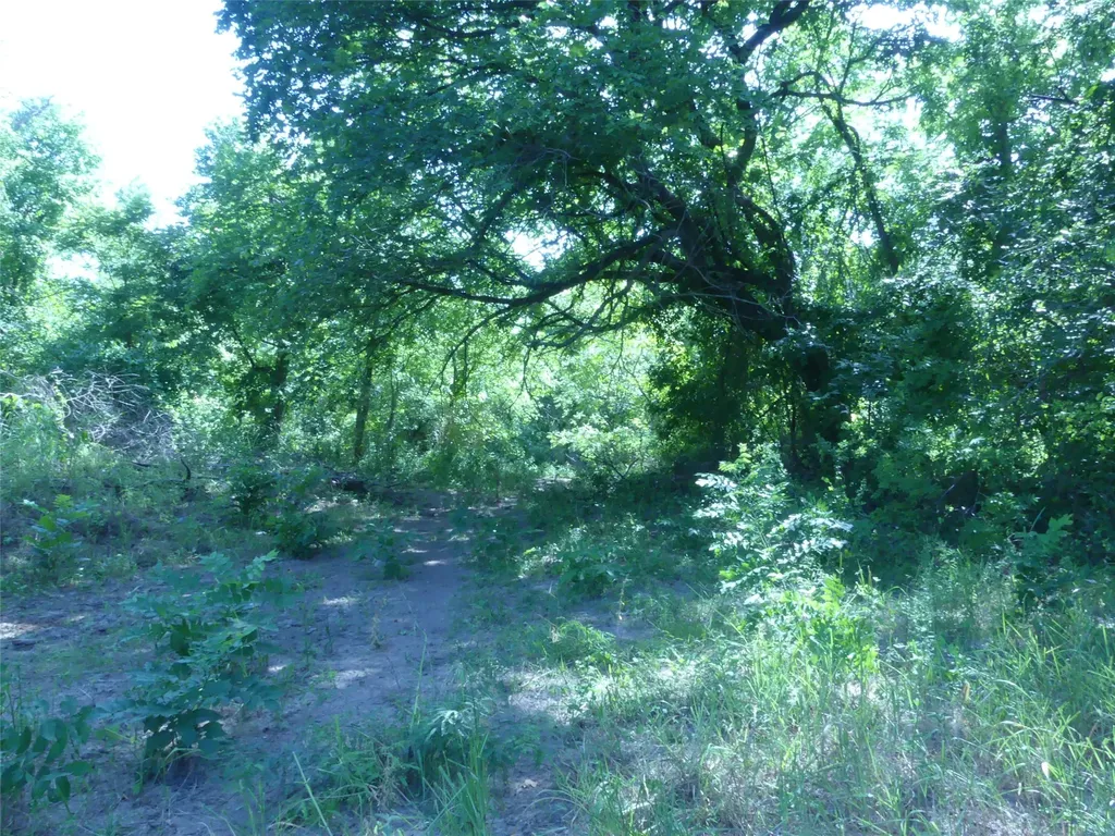 1691 W Alamo Road Bowie TX 76230