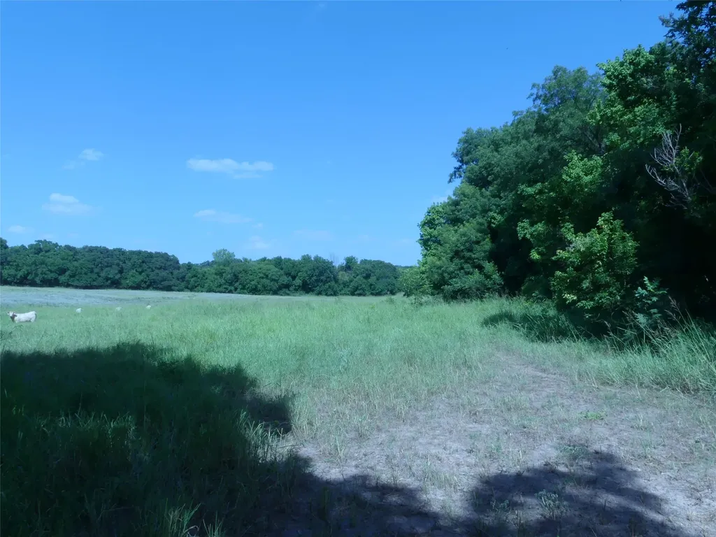 1691 W Alamo Road Bowie TX 76230