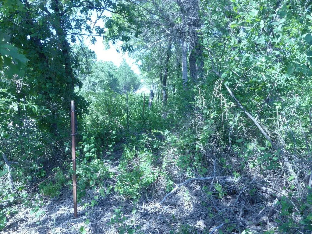 1691 W Alamo Road Bowie TX 76230