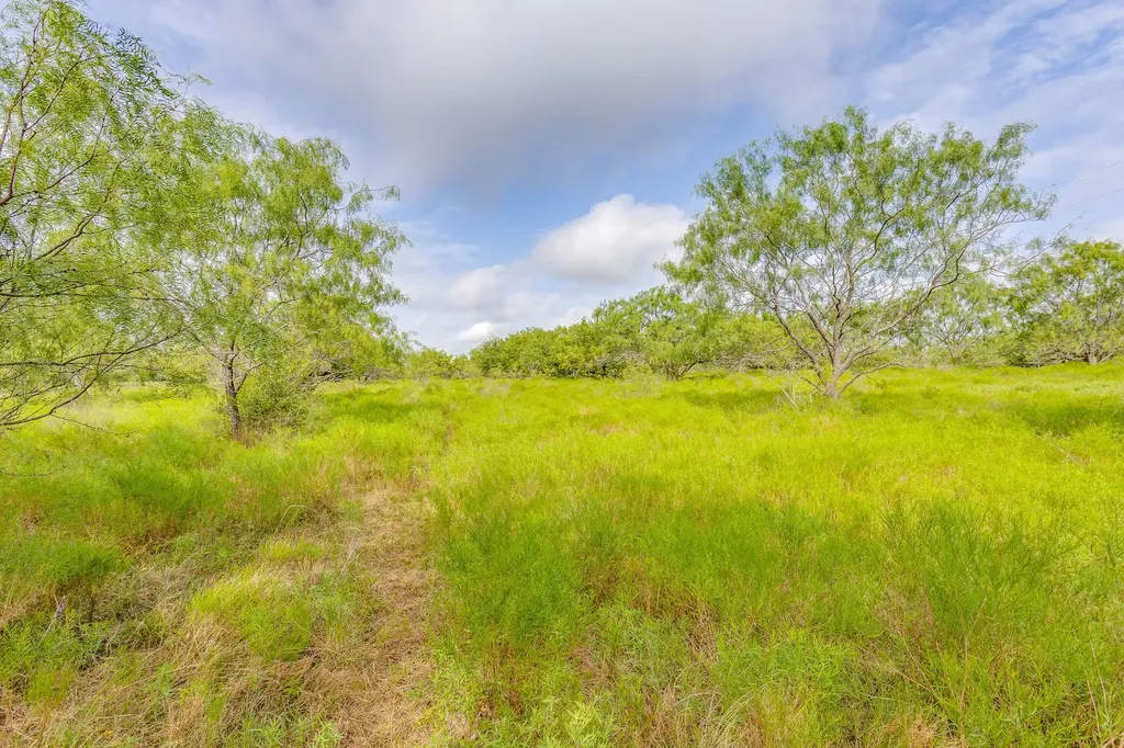 Tbd County Road 807 Cleburne TX 76031