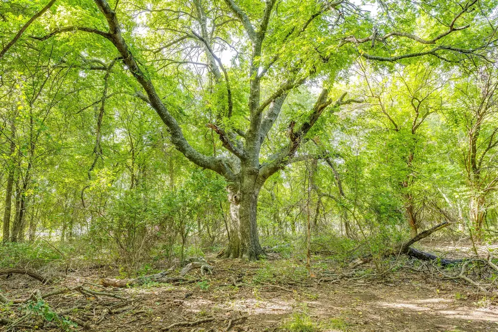 Tbd County Road 807 Cleburne TX 76031