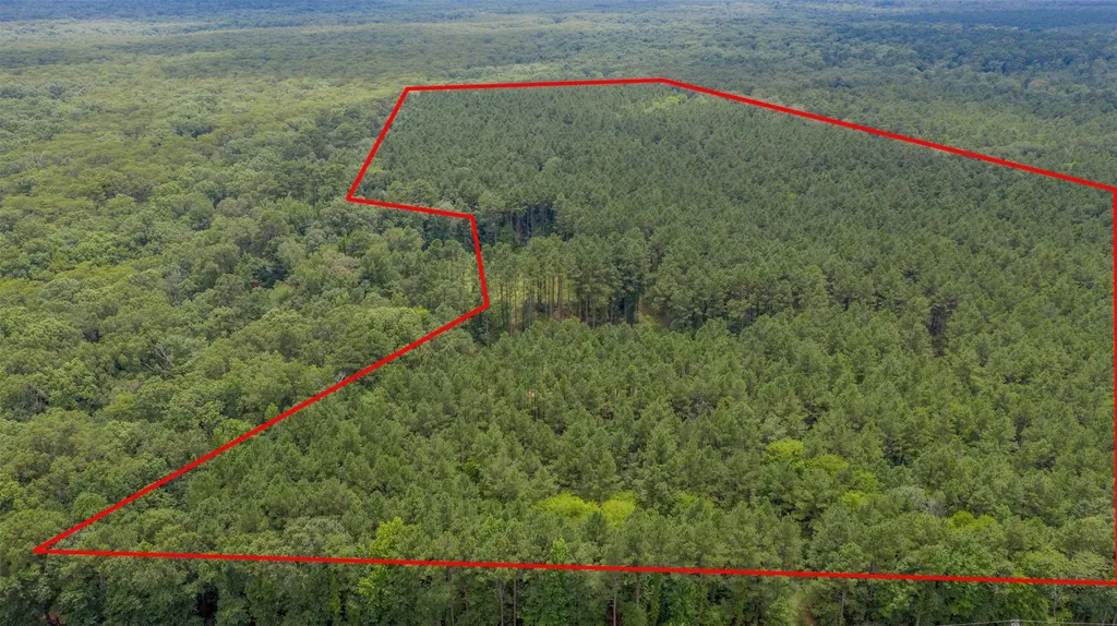 1 Highway 157 Benton LA 71006