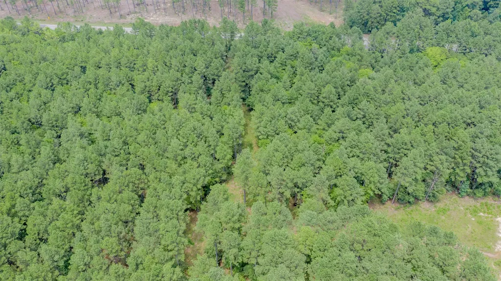 1 Highway 157 Benton LA 71006