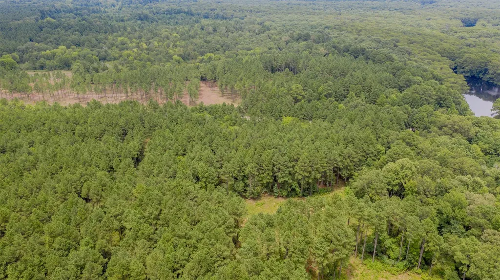 1 Highway 157 Benton LA 71006