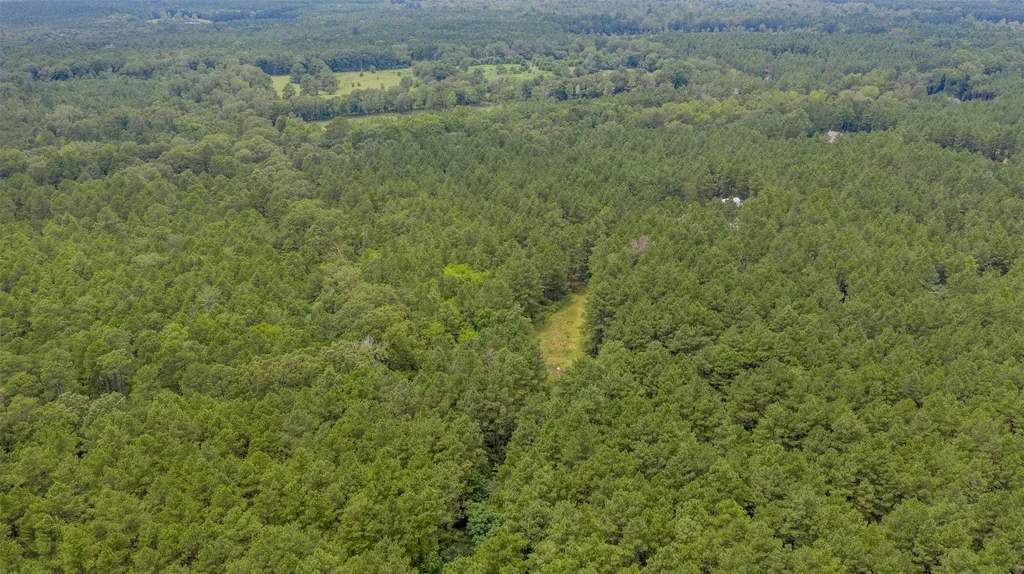 1 Highway 157 Benton LA 71006
