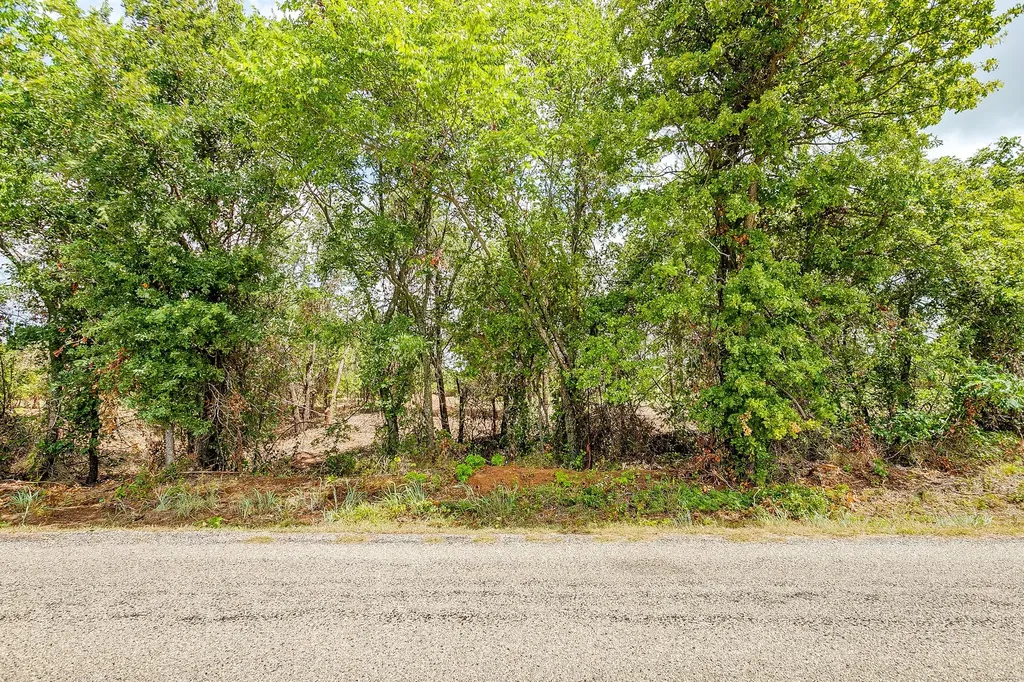 890 Clover Drive Poolville TX 76487