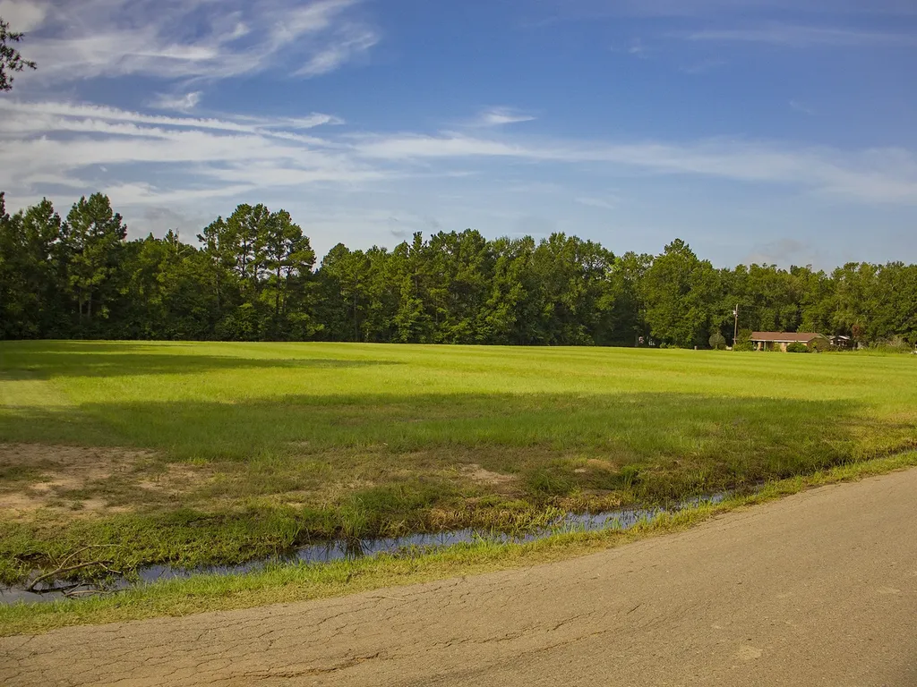Tbd Sweet Gum Road Gladewater TX 75647
