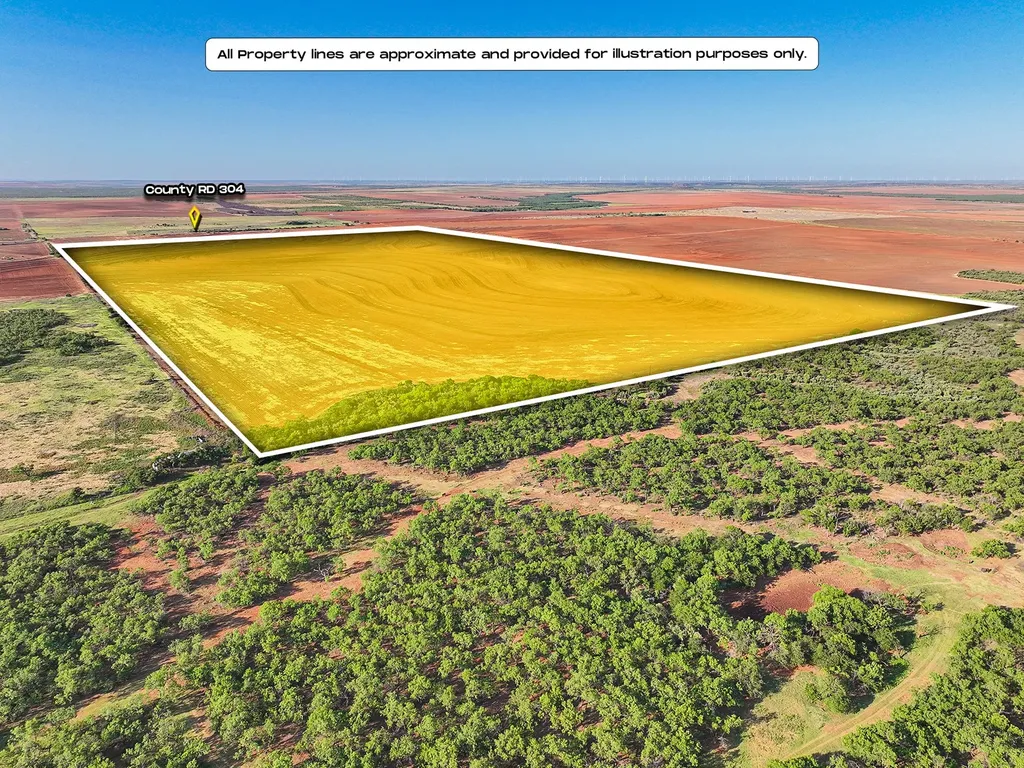 Apn 3166 Country Road 304 Roby TX 79543