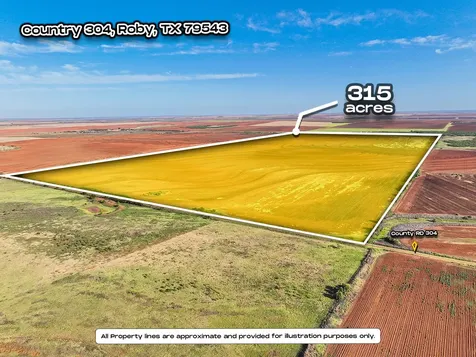 Apn 3166 Country Road 304 Roby TX 79543