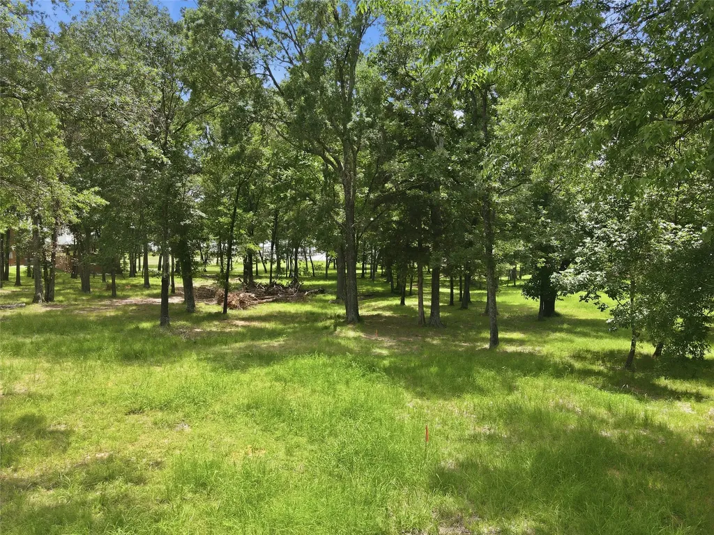 Lot 24 Rs County Road 3500 Emory TX 75440