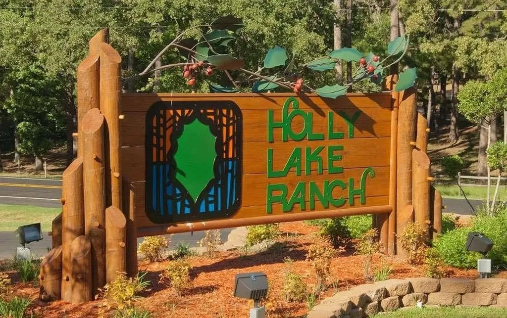 207 Pagosa Lane Holly Lake Ranch TX 75765