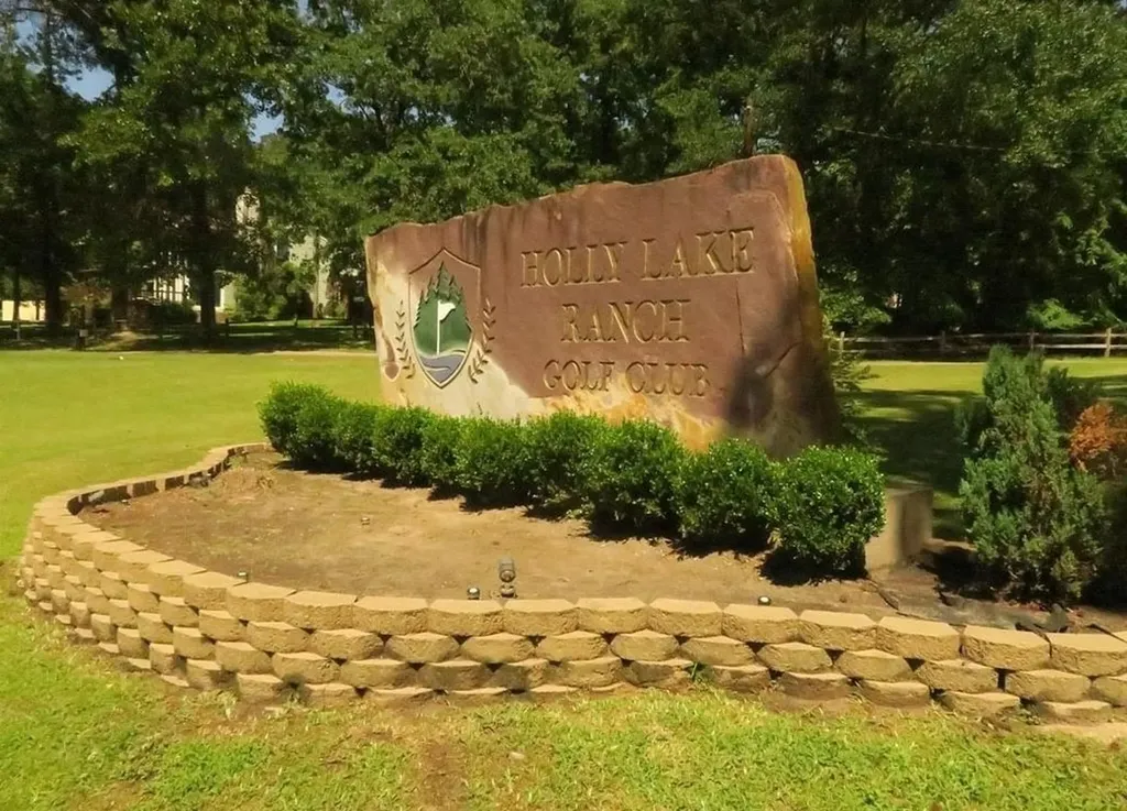 207 Pagosa Lane Holly Lake Ranch TX 75765