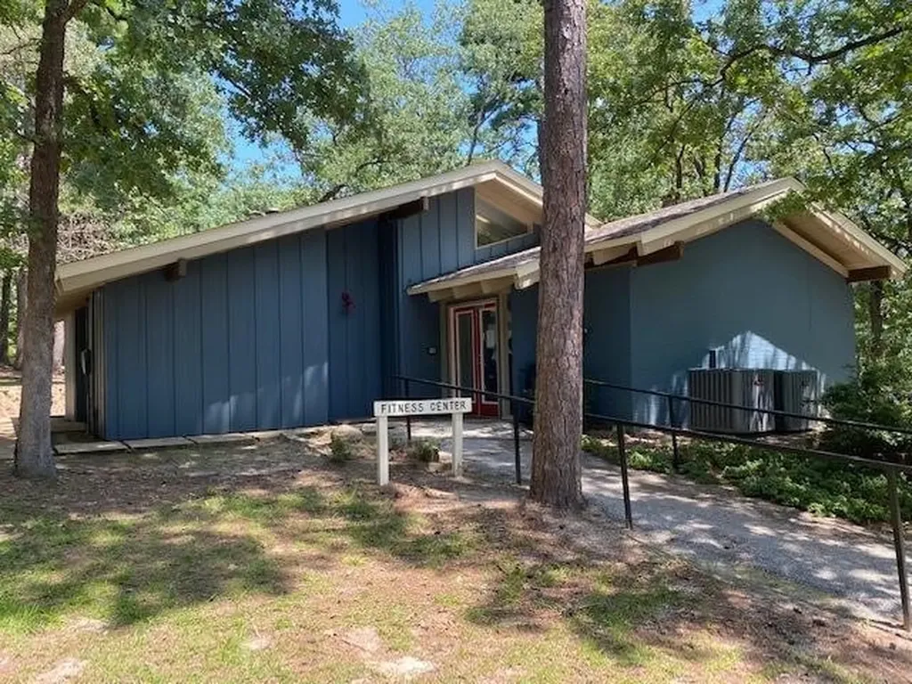 207 Pagosa Lane Holly Lake Ranch TX 75765