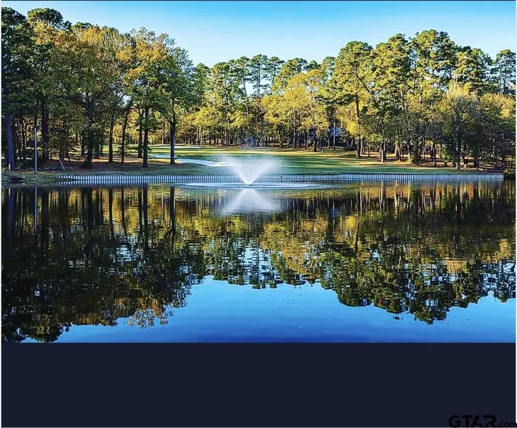207 Pagosa Lane Holly Lake Ranch TX 75765