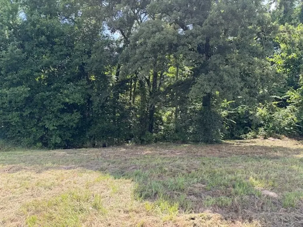 Tbd Cypress Creek Drive Diana TX 75640