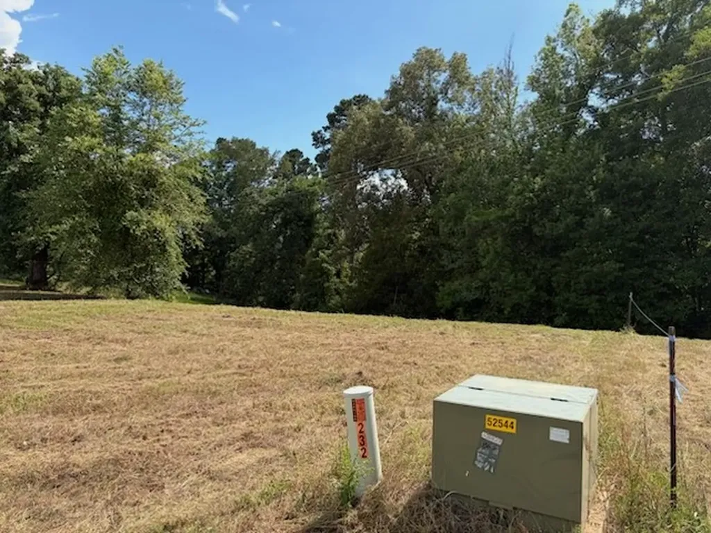 Tbd Cypress Creek Drive Diana TX 75640