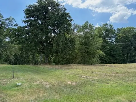 Tbd Cypress Creek Drive Diana TX 75640