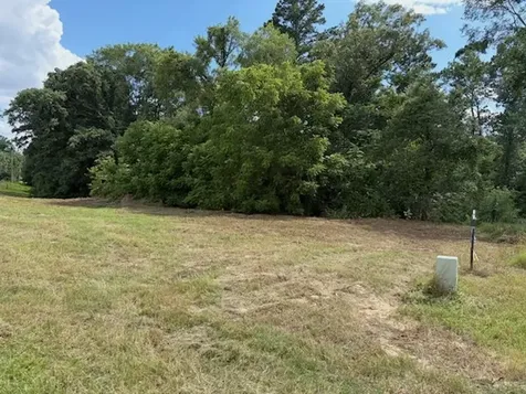 Tbd Cypress Creek Drive Diana TX 75640