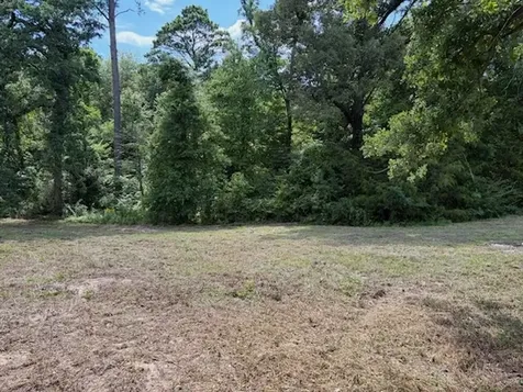 Tbd Cypress Creek Drive Diana TX 75640