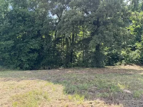 Tbd Cypress Creek Drive Diana TX 75640