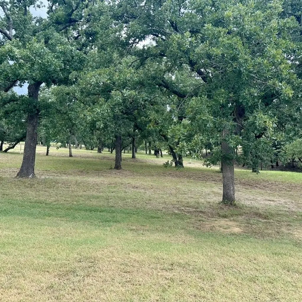 108 Country Club Drive Nocona TX 76255