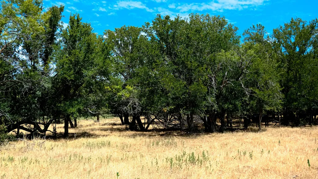 1922 Loving Road Jermyn TX 76459
