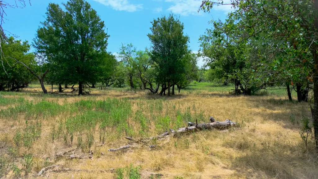 1922 Loving Road Jermyn TX 76459