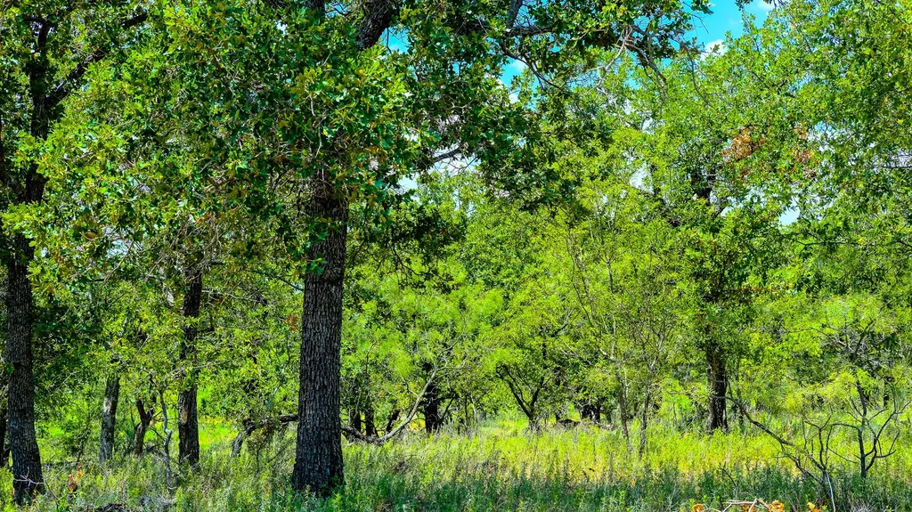 1922 Loving Road Jermyn TX 76459