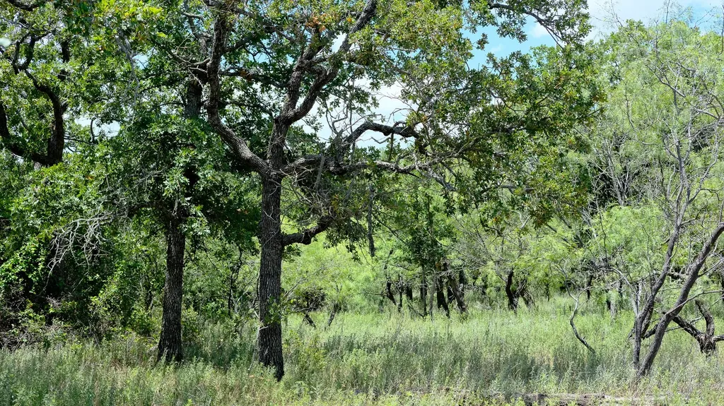 1922 Loving Road Jermyn TX 76459