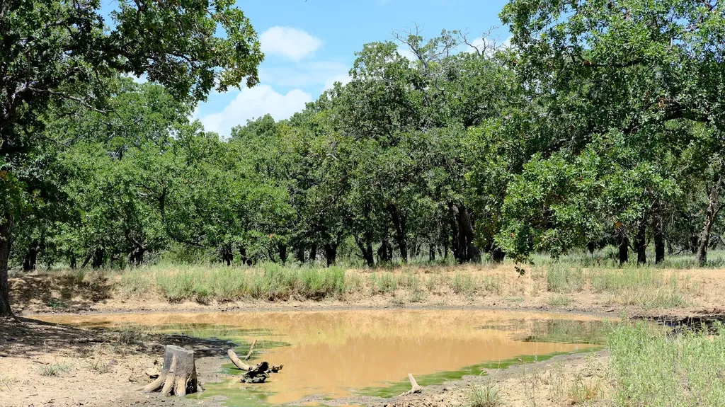 1922 Loving Road Jermyn TX 76459