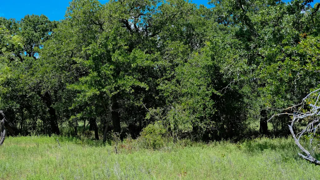 1922 Loving Road Jermyn TX 76459
